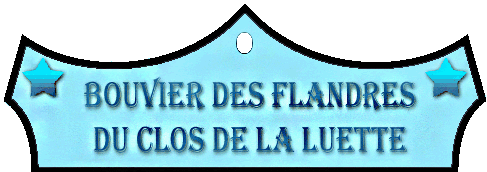 



SITE WEB ELEVAGE DU CLOS DE LA LUETTE SPECIALISE POUR LE BOUVIER DES FLANDRES © COPYRIGHT DEPOSE